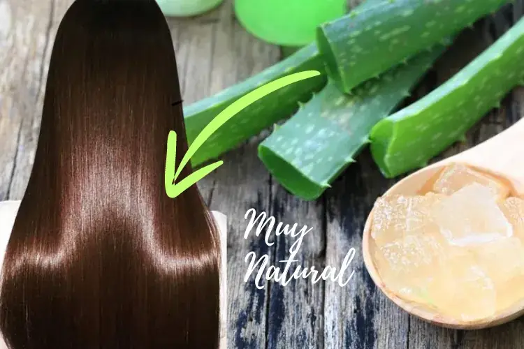 aplicar aloe vera en cabello